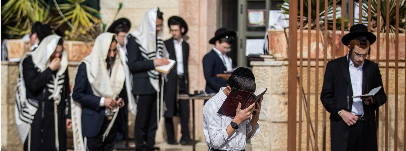 Public Health and the Ultra-Orthodox Community in Israel