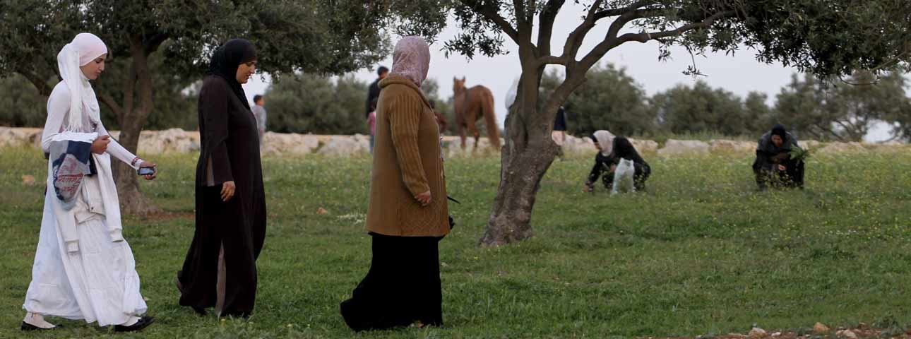 Israeli Public Divided Over Trust for Arab Citizens