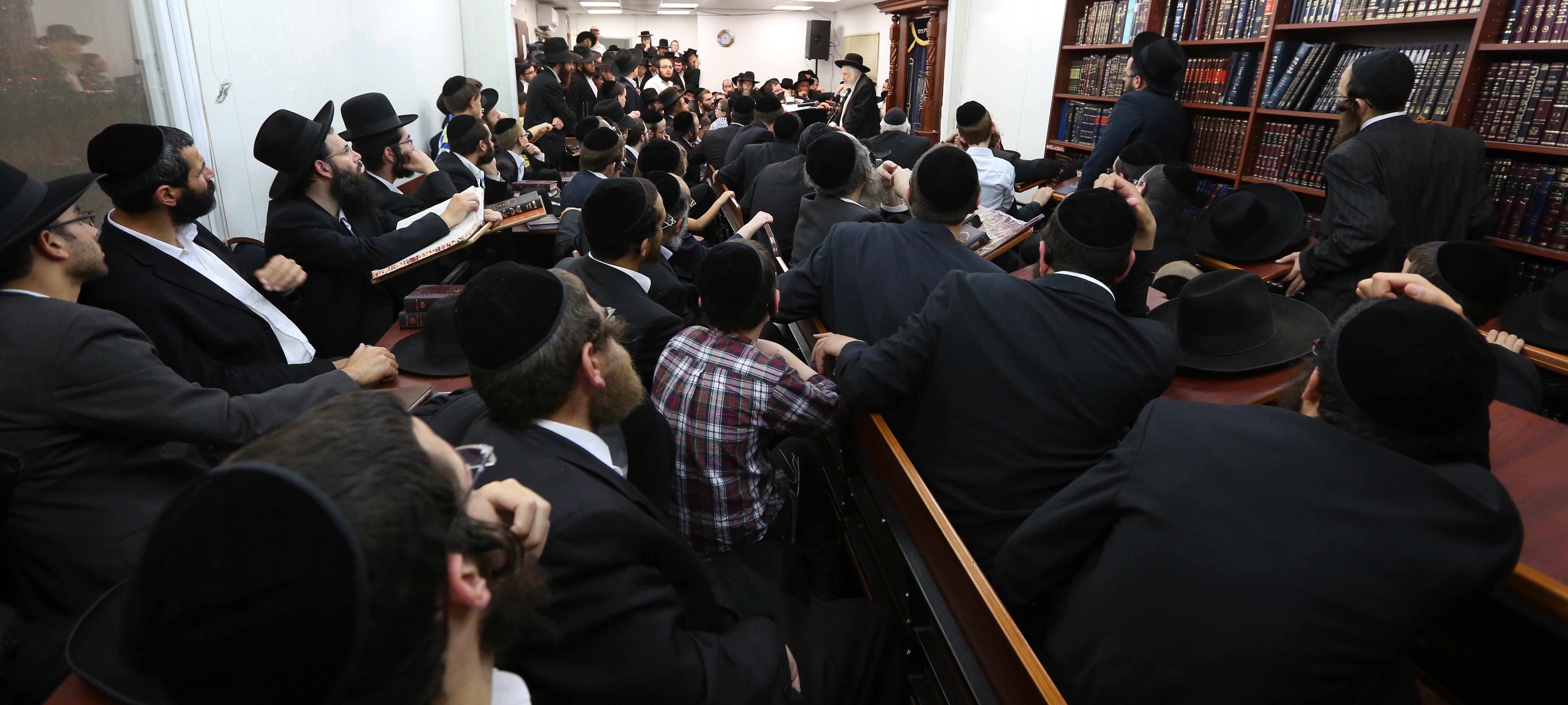 Ultra-Orthodox Employment Levels Stop Increasing