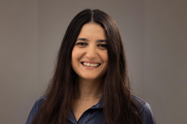 Democratic Values and Institutions Program - The Israel Democracy ...