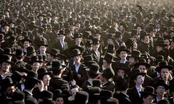 Yes, They Will Multiply – The 2040 Edition