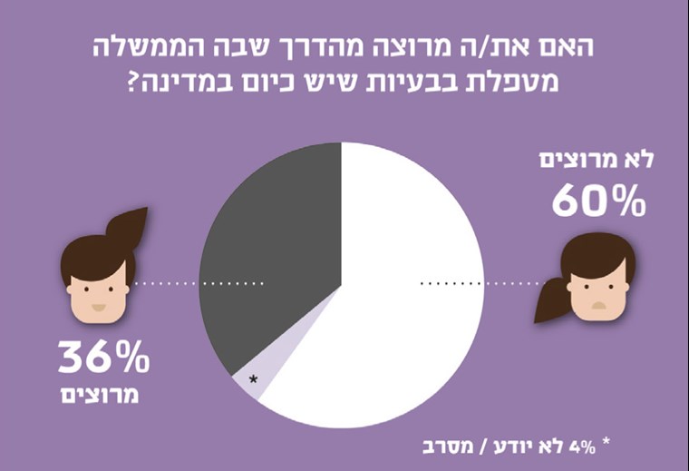 אופן הטיפול של הממשלה בבעיות המדינה